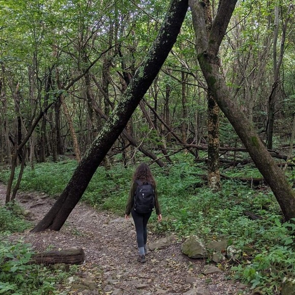 Meet your Posher, Kresta - Picture 1 of 1